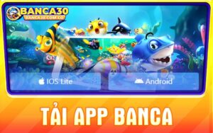 Cách tải app Banca tân thủ cần nắm bắt khi đầu tư online