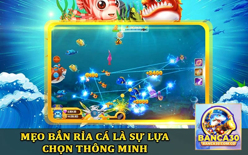 Mẹo bắn rỉa cá chuẩn xác bất bại